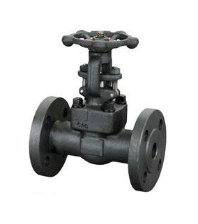 Gate Valve with Flanged